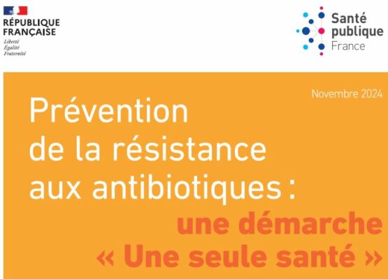 Prévention de la résistance aux antibiotiques – Santé publique France (synthèse)