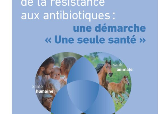 Prévention de la résistance aux antibiotiques – Santé publique France (synthèse)
